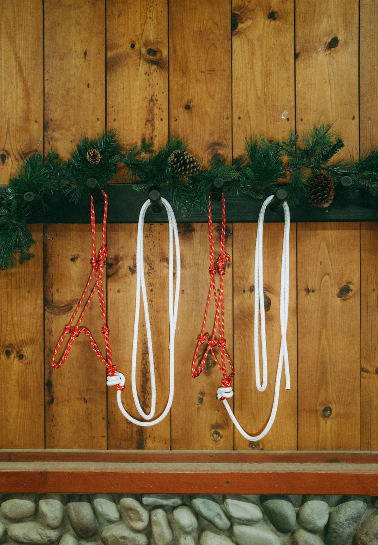 Rope Halter & Lead | Red & White