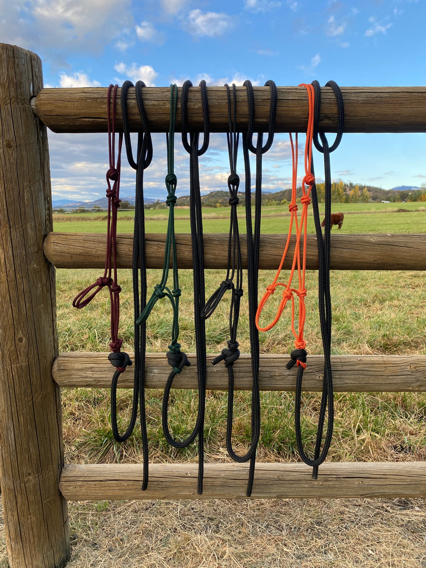 Rope Halter & Lead | Burgandy