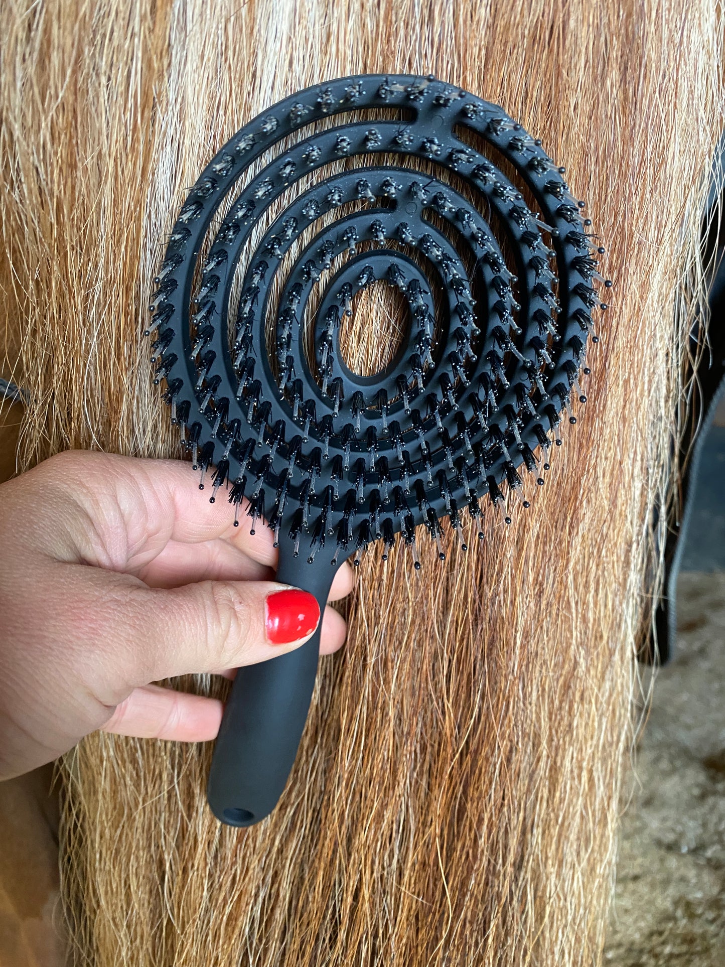 Mane & Tail Brush