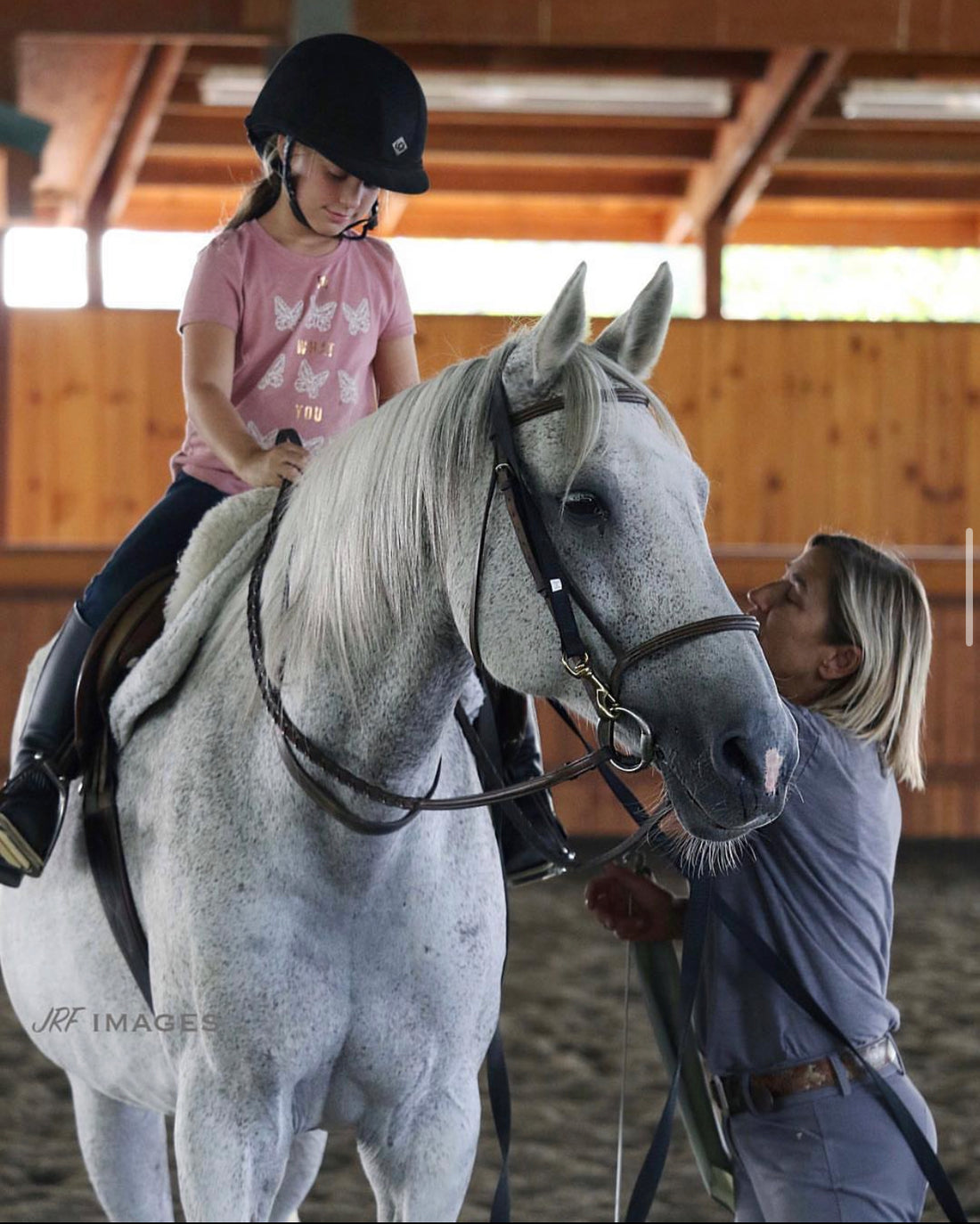 Beginners in Horseback Riding - Where Should You Start?