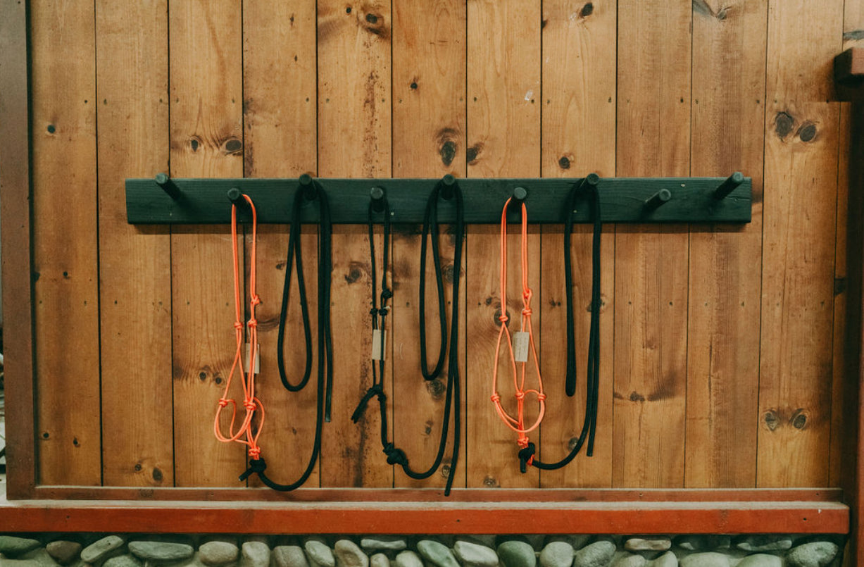 Rope Halter & Lead | Burnt Orange