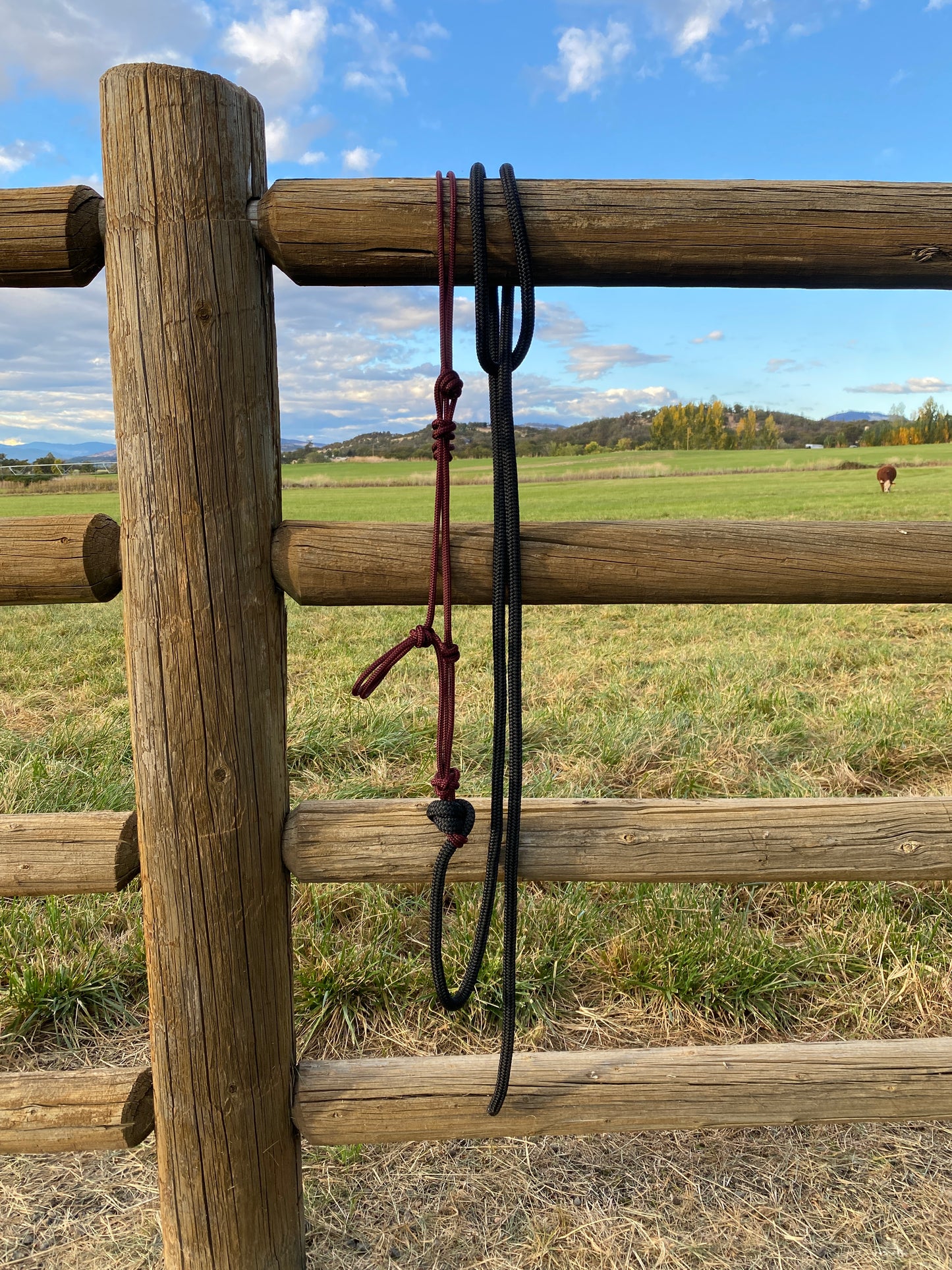 Rope Halter & Lead | Burgandy