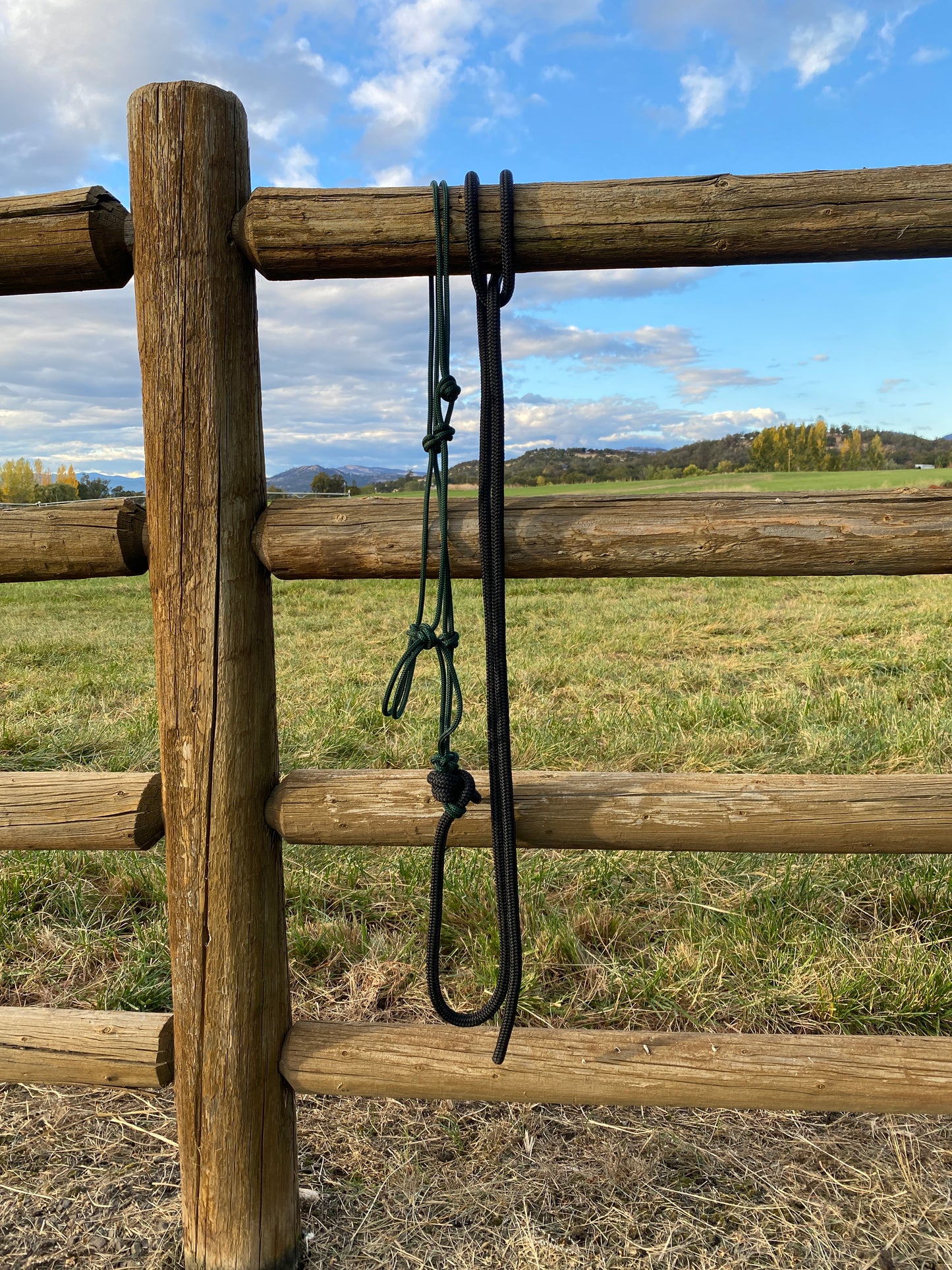 Rope Halter & Lead | Forest Green