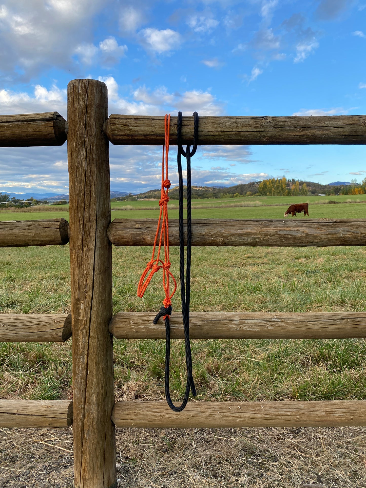 Rope Halter & Lead | Burnt Orange